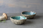 Soup Bowl