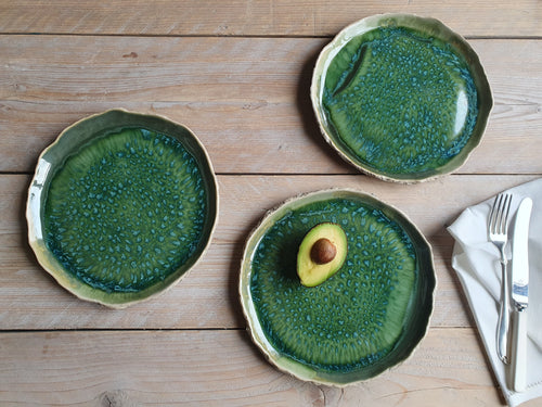Lunch plates